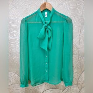 American Apparel Sheer Blouse